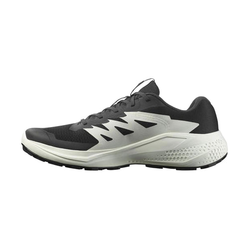 Salomon Alphaglide Erkek Patika Koşusu Ayakkabısı
