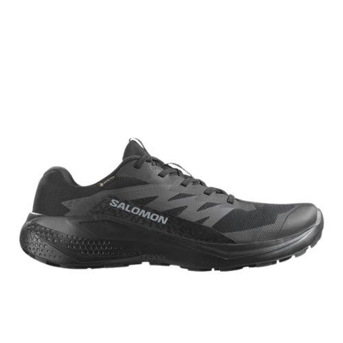 Salomon Alphaglide Gtx Erkek Patika Koşusu Ayakkabısı