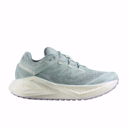 Salomon Aero Glide 3 Grvl Kadın Yol Koşusu Ayakkabısı