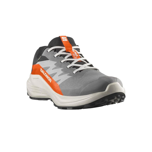 Salomon Alphaglide Gore-Tex Erkek Gri Patika Koşusu Ayakkabısı