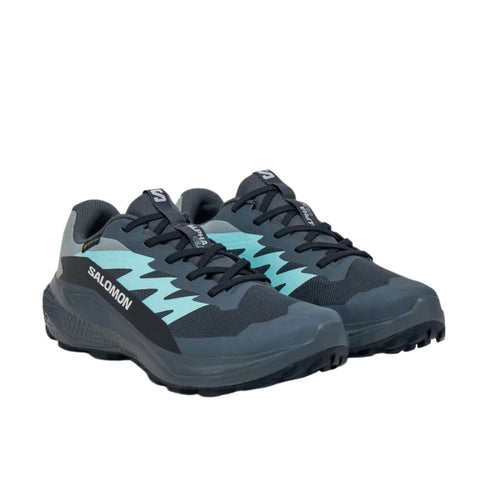 Salomon Alphaglide GORE-TEX Kadın Mavi Patika Koşusu Ayakkabısı
