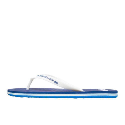 Quiksilver Molokai Core Erkek Mavi Terlik