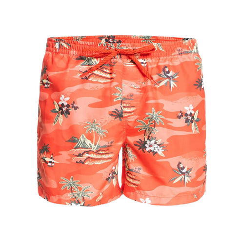 Quiksilver Everyday Scenic 15" Deniz Şortu