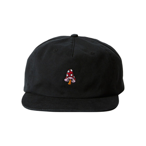 Quiksilver Doggin Papaq 