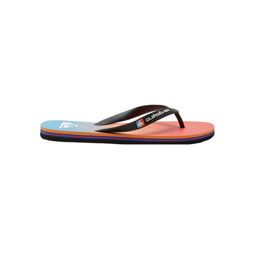 Quiksilver Molokai Art II Kişi Mavi Terlikləri