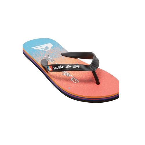 Quiksilver Molokai Art II Kişi Mavi Terlikləri