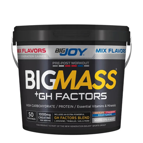 Bigjoy Sports BIGMASS Gainer GH FACTORS Mix Aroma 5000g