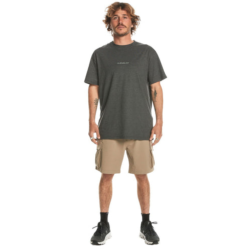 Quiksilver Run Ashore Cargo Kişi Şortları 