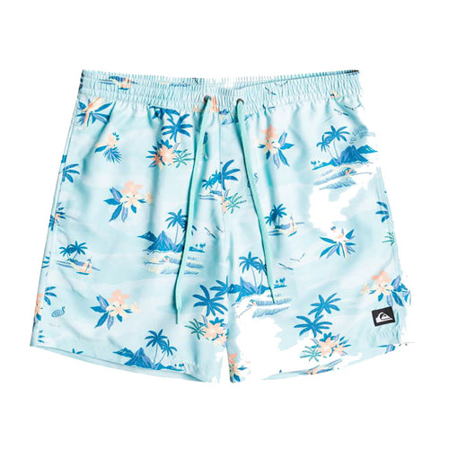 Quiksilver Everyday Scenic 15" Deniz Şortu