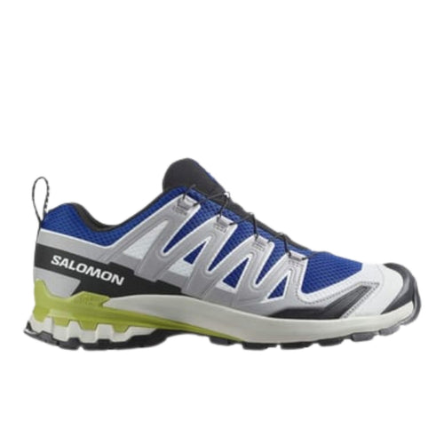 Salomon Xa Pro 3d V9 Erkek Patika Koşusu Ayakkabısı