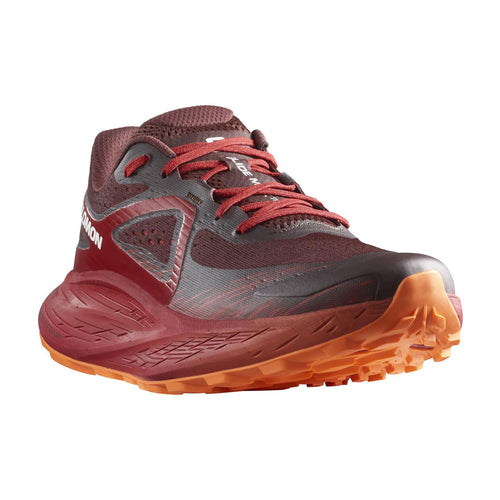 Salomon Glide Max TR Erkek Patika Koşusu Ayakkabısı