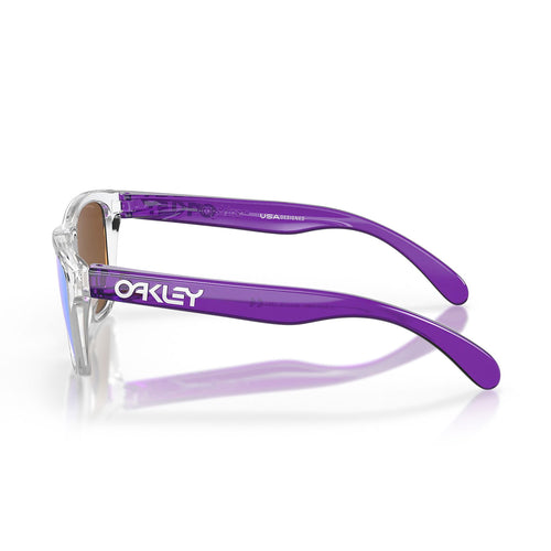 Oakley Frogskins Güneş Gözlüğü