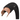 Goodyear Peak Tubeless Ready700x45 / 45-622 Blk Bi