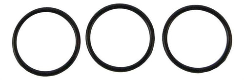 Zipp O-Rıng  77/177 Disc