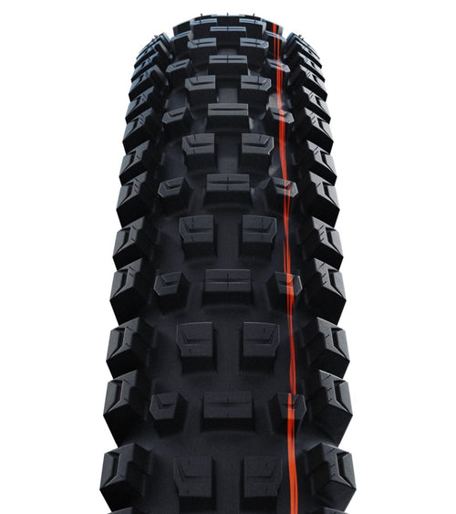 Schwalbe ALBERT Evo, TRAIL PRO, TLR