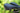 SELLE ROYAL RESPIRO ATHLETIC SELE