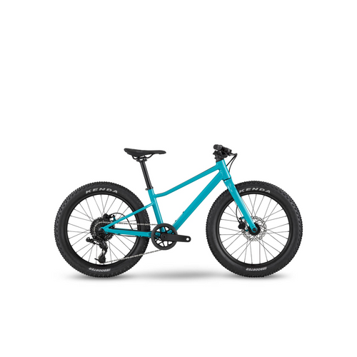 BMC Twostroke AL 20 Dağ Bisikleti